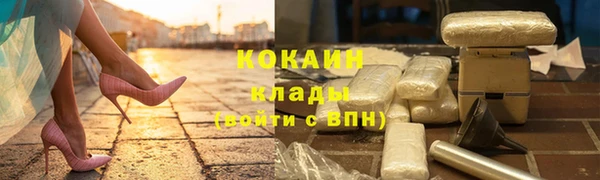 твердый Богородск