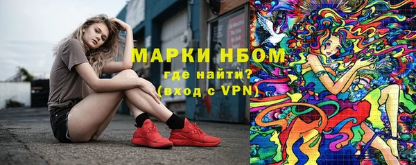 твердый Богородск