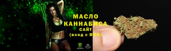 твердый Богородск