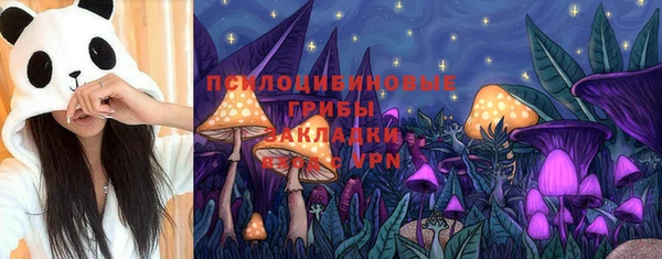 твердый Богданович