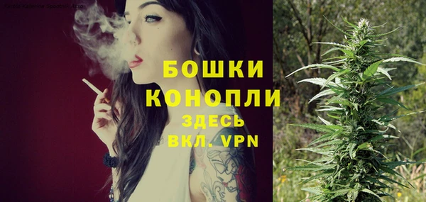 твердый Богданович