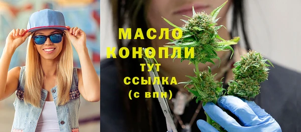 apvp Богородицк