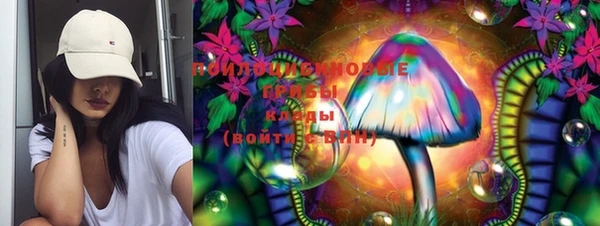 apvp Богородицк
