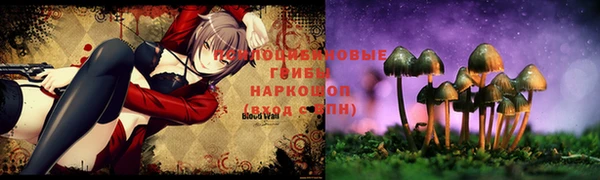 марки lsd Мегион