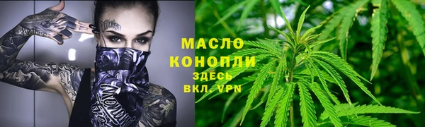 твердый Богородск