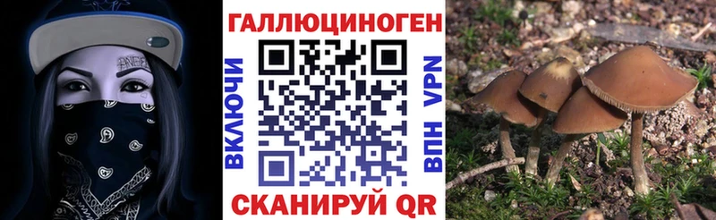Галлюциногенные грибы ЛСД  Йошкар-Ола 